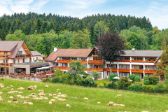 Hotel_Gruener_Wald